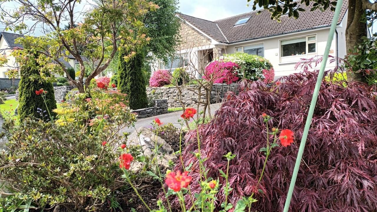קנמארה Laburnum B&B מראה חיצוני תמונה